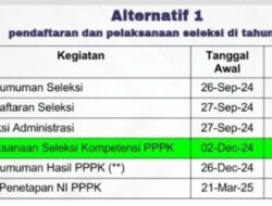 Mulai Jadwal Pendaftaran PPPK 2024, BKN: Disepakati Alternatif 1