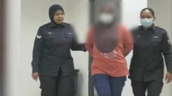 Ibu Tujuh Anak Tawarkan Layanan Seksual via WhatsApp